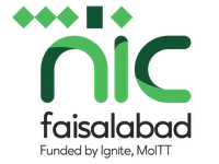 NIC Faisalabad logo